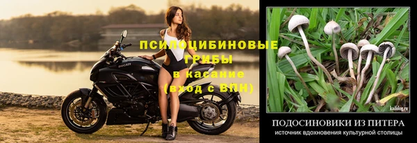 метадон Покачи